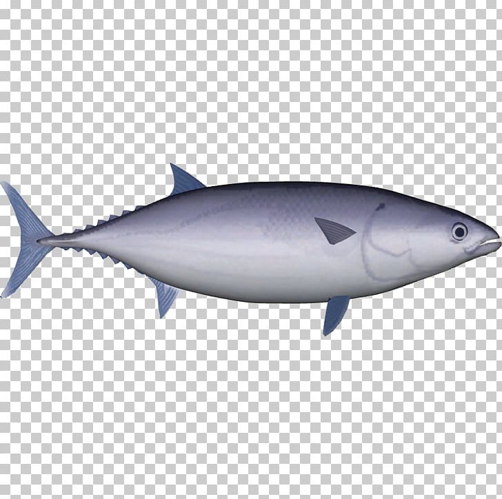 True Tunas Skipjack Tuna Yellowfin Tuna Pelagic Fish Mahi-mahi PNG, Clipart, Atlantic Bluefin Tuna, Atlantic Bonito, Bony Fish, Fin, Fish Free PNG Download