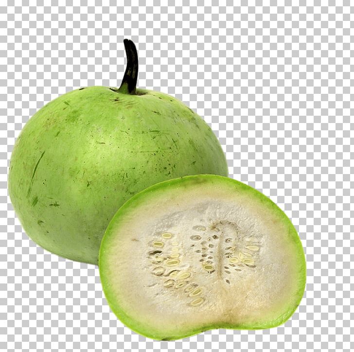 Calabash Tinda Gourd Vegetable Cucurbitaceae PNG, Clipart, Baby Corn, Bitter Melon, Bottle, Calabash, Cucumber Gourd And Melon Family Free PNG Download