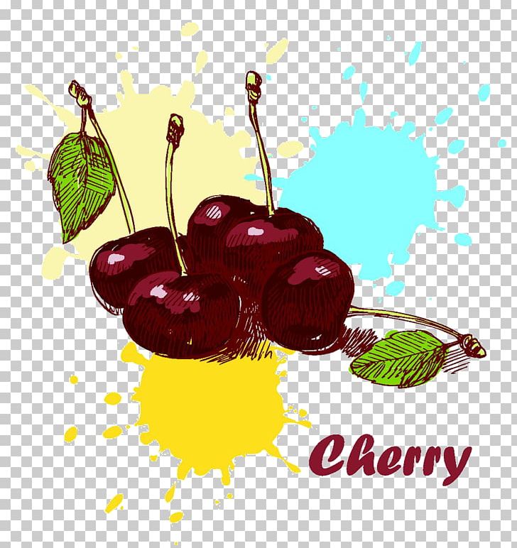 Cherry Illustration PNG, Clipart, Carambola, Cartoon, Cherries, Cherry Blossom, Cherry Blossoms Free PNG Download