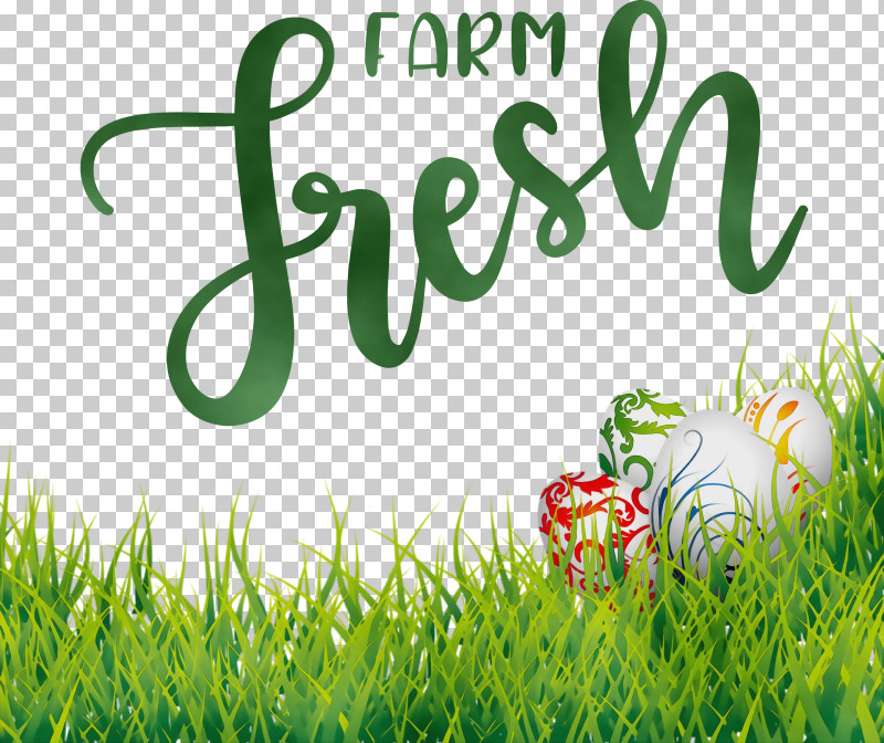 Logo Grasses Font Green Lawn PNG, Clipart, Farm Fresh, Grasses, Green, Lawn, Logo Free PNG Download