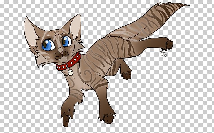 Kitten Whiskers Cat Dog Canidae PNG, Clipart, Canidae, Carnivoran, Cartoon, Cat, Cat Like Mammal Free PNG Download
