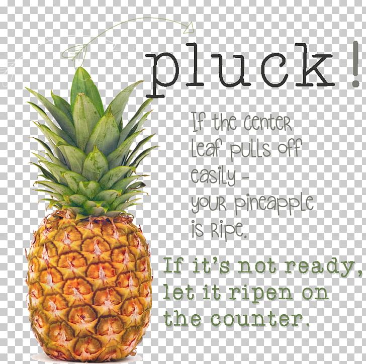 Pineapple T-shirt Fruit Salad Food PNG, Clipart, Ananas, Bromeliaceae, Dried Fruit, Food, Fruit Free PNG Download