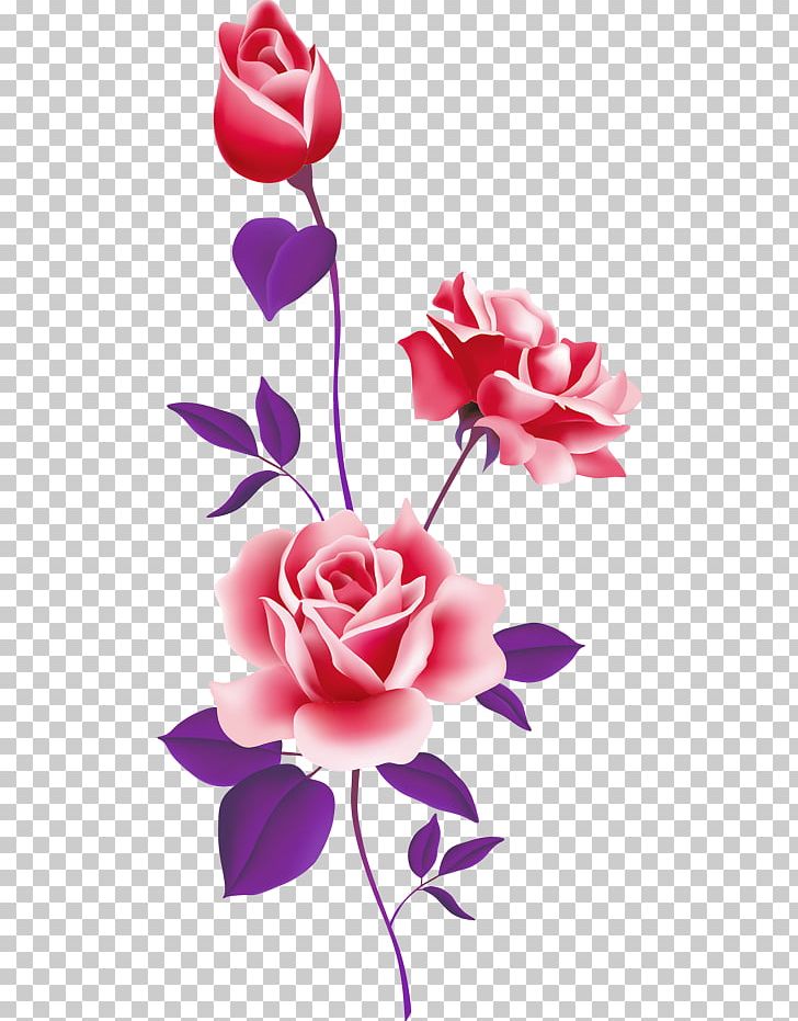 Rose Pink Free Content PNG, Clipart, Cut Flowers, Download, Flora, Floral, Flower Free PNG Download