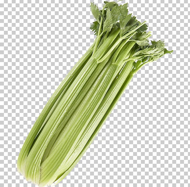 Celery Leaf Vegetable Vegetarian Cuisine PNG, Clipart, Celery, Chard, Choy Sum, Collard Greens, Food Free PNG Download