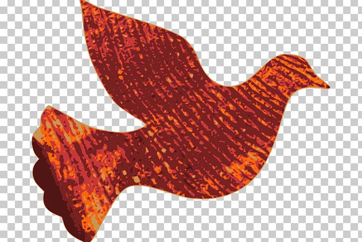 Columbidae Doves As Symbols Peace PNG, Clipart, Columbidae, Dove, Doves As Symbols, Drawing, Orange Free PNG Download