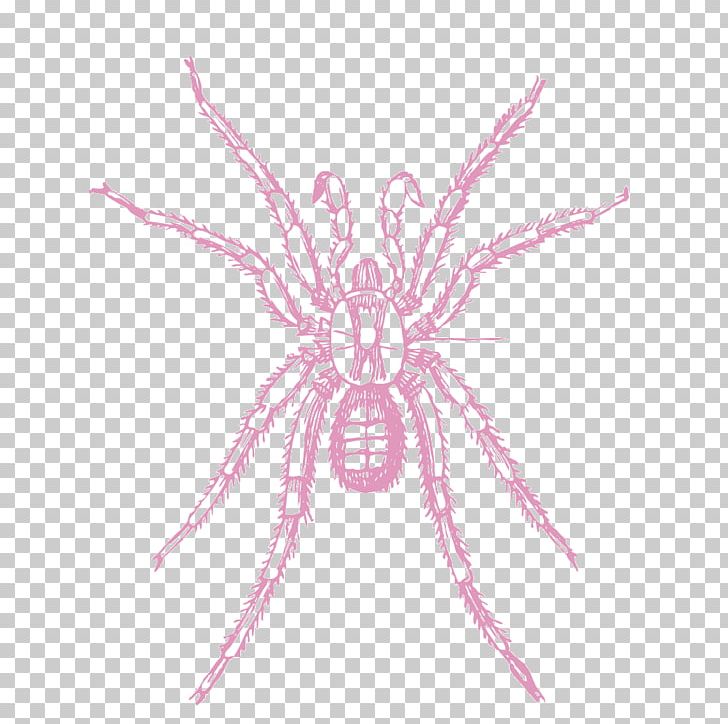 Spider-Man Spider Web PNG, Clipart, Arthropod, Beneficial, Beneficial Insects, Cartoon, Cephalothorax Free PNG Download