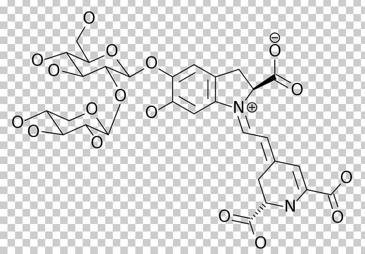 Betalain Common Beet Anthocyanin Carotenoid Anthocyanidin PNG, Clipart, Angle, Anthocyanidin, Anthocyanin, Area, Auto Part Free PNG Download
