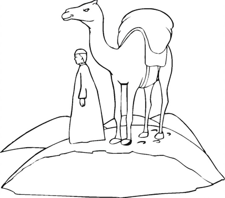 Dromedary Bactrian Camel Coloring Book Child Camel Train PNG, Clipart, Animal, Artwork, Bactrian Camel, Beak, Black And White Free PNG Download