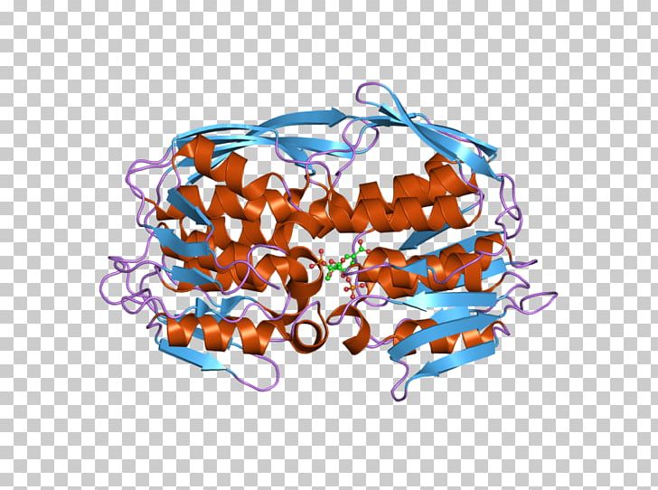 EPSP Synthase Tyrosine Kinase Transferase Enzyme PNG, Clipart, Art, Catalysis, Domain, Ebi, Enzyme Free PNG Download