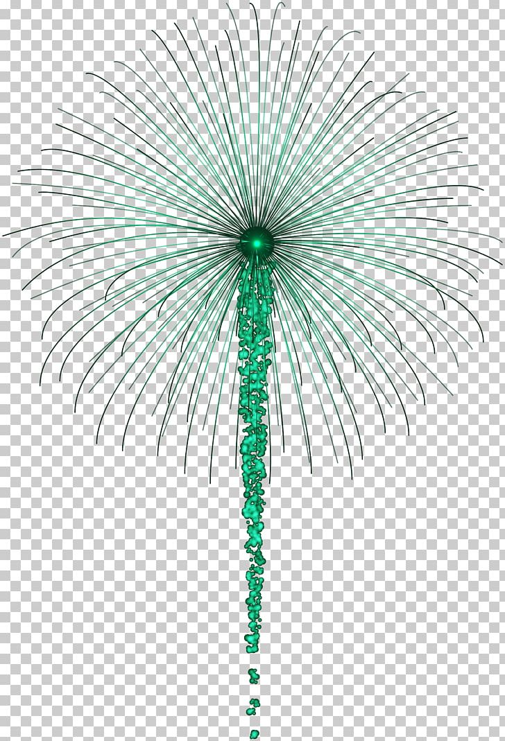 Fireworks PNG, Clipart, Adobe Fireworks, Arecales, Asian Palmyra Palm, Blog, Blue Free PNG Download