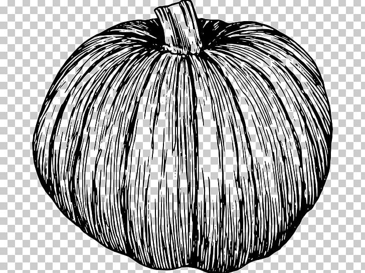 Pumpkin Pie Black And White Vegetable PNG, Clipart, Black, Black And White, Cucurbita Pepo, Drawing, Food Free PNG Download
