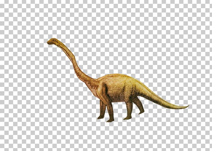 Tyrannosaurus Rex Dinosaur Age Of Jurassic Drawing PNG, Clipart, Cartoon, Cat Like Mammal, Dinosaurs, Download, Encapsulated Postscript Free PNG Download