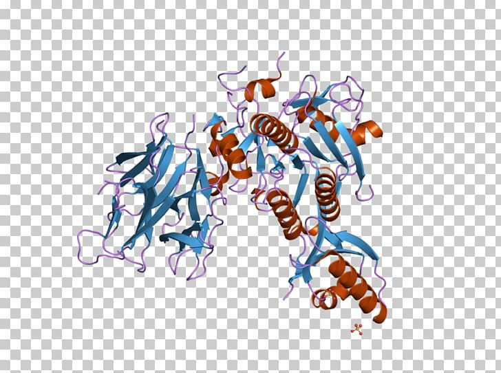 Alirocumab PCSK9 Evolocumab Proprotein Convertase Structure PNG ...