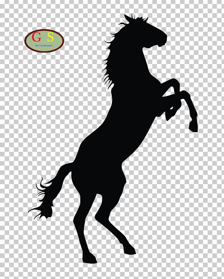 Horse Foal Silhouette PNG, Clipart, Animals, Black, Colt, Equestrian, Fictional Character Free PNG Download