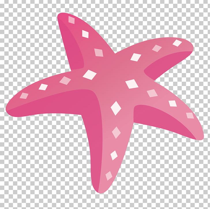 Starfish PNG, Clipart, Animals, Download, Drawing, Echinoderm, Invertebrate Free PNG Download