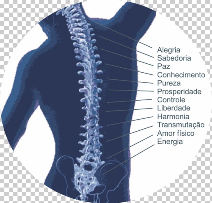 Vertebral Column Therapy Human Back Symptom Osteochondrosis PNG, Clipart, Calcaneal Spur, Chiropractic, Degenerative Disease, Disease, Electric Blue Free PNG Download