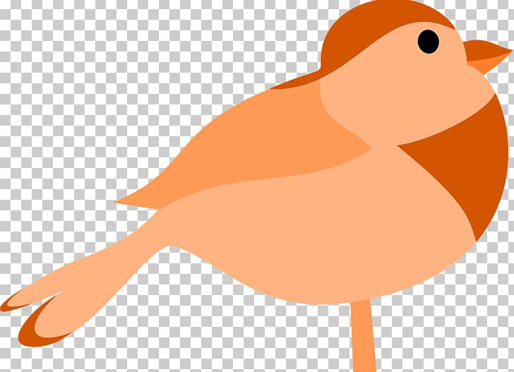 Bird PNG, Clipart, Animals, Art, Beak, Bird, Bird Clipart Free PNG Download