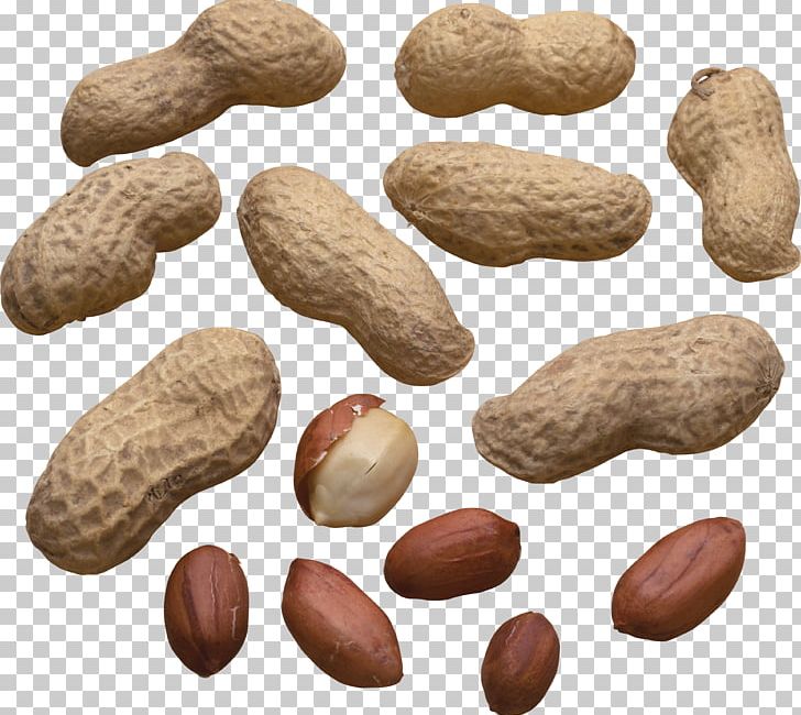 Peanut Production In China Vegetarian Cuisine Food PNG, Clipart, Almond, Commodity, Cooking Oils, Desktop Wallpaper, Food Free PNG Download