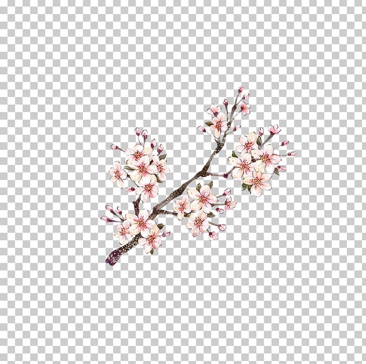 Plum Blossom Red PNG, Clipart, Adobe Illustrator, Blossom, Branch, Cherry Blossom, Color Free PNG Download