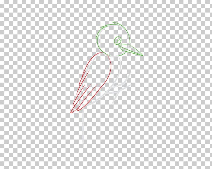 Beak /m/02csf Water Bird Logo PNG, Clipart, Animals, Artwork, Beak, Bird, Drawing Free PNG Download