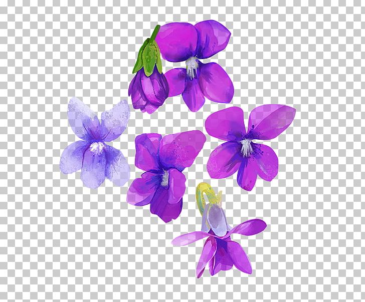 Watercolour Flowers Purple Violet Watercolor Painting PNG, Clipart, Color, Cut Flowers, Flower, Flowering Plant, Green Free PNG Download