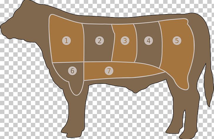 Beef Cattle Ribs Meat Brisket PNG, Clipart, Angle, Beef, Beef Cattle, Brisket, Cartoon Free PNG Download