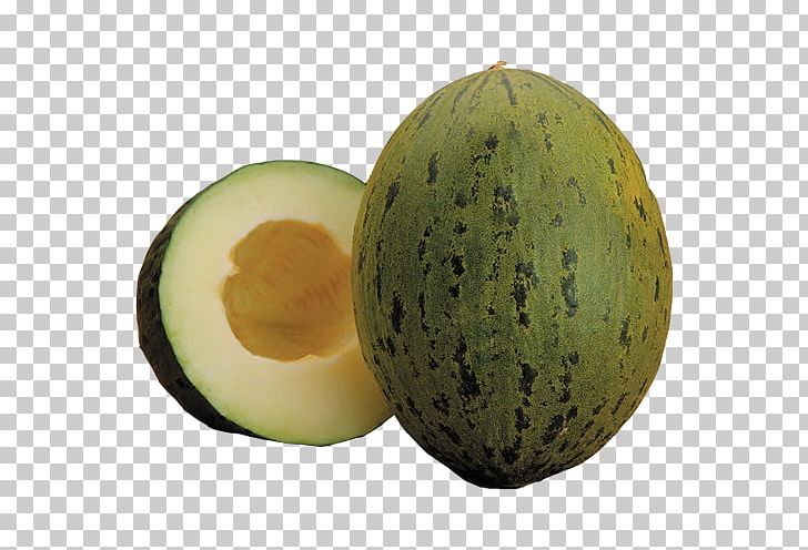 Galia Melon Honeydew Cantaloupe Watermelon PNG, Clipart, Cantaloupe, Cucumber, Cucumber Gourd And Melon Family, Cucumis, Food Free PNG Download