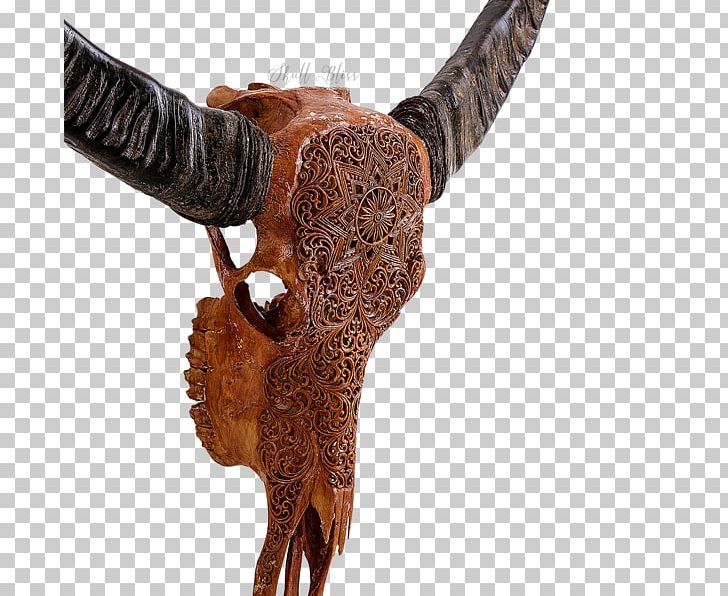 Horn Cattle SKULL MYSTIC Antique PNG, Clipart, Antique, Buffalo, Cattle, Centimeter, Dragon Free PNG Download