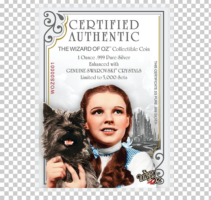 The Wizard Of Oz Toto Dorothy Gale The Wonderful Wizard Of Oz The Land Of Oz PNG, Clipart, Bluray Disc, Carnivoran, Cat, Cat Like Mammal, Dog Breed Free PNG Download