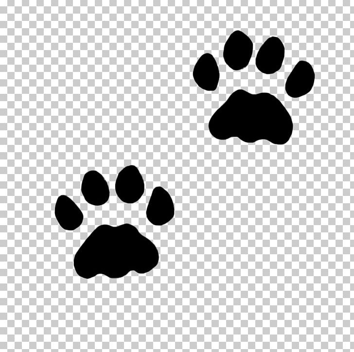 Cat Dog Paw Kitten PNG, Clipart, Animal, Animals, Animal Track, Black, Black And White Free PNG Download
