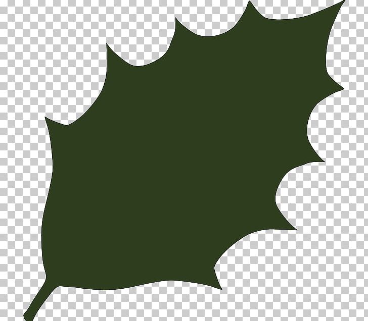 Leaf Green PNG, Clipart, Black, Computer Icons, Desktop Wallpaper, Flora, Grass Free PNG Download