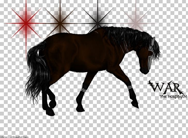 Mane Mustang Stallion Colt Halter PNG, Clipart, Black, Bridle, Character, Colt, Computer Free PNG Download