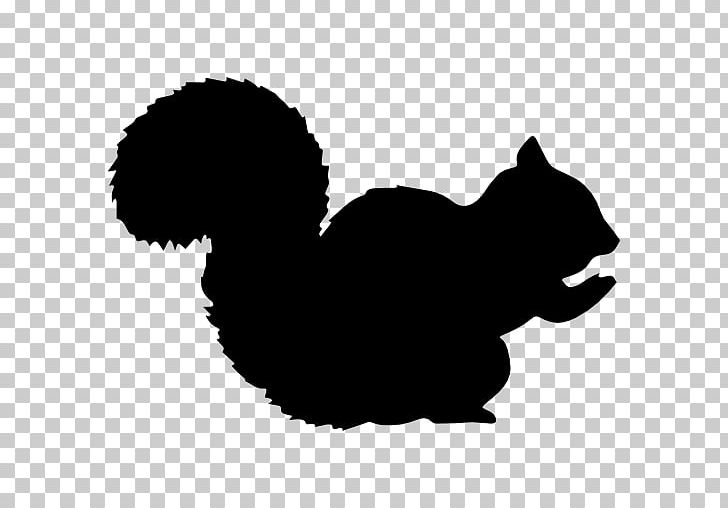 Squirrel Decal Sticker PNG, Clipart, Animal, Animals, Black, Black And White, Bumper Sticker Free PNG Download