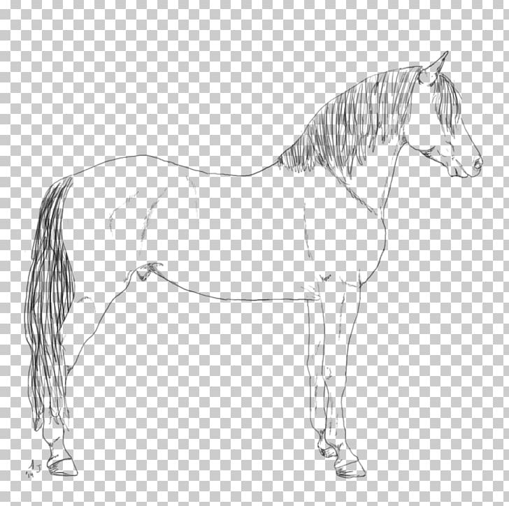 Standing Horse Pony Line Art Sketch PNG, Clipart, Animals, Arm, Art, Artwork, Black And White Free PNG Download