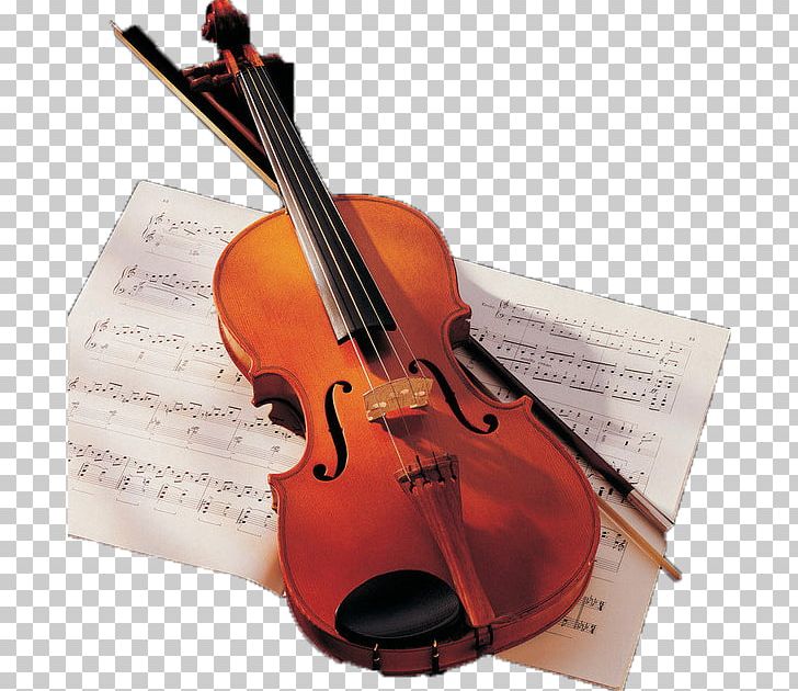 Violin Musical Instrument Cello Viola PNG, Clipart, 24 Caprices For Solo Violin, Bowed String Instrument, Cap, Cellist, Double Bass Free PNG Download