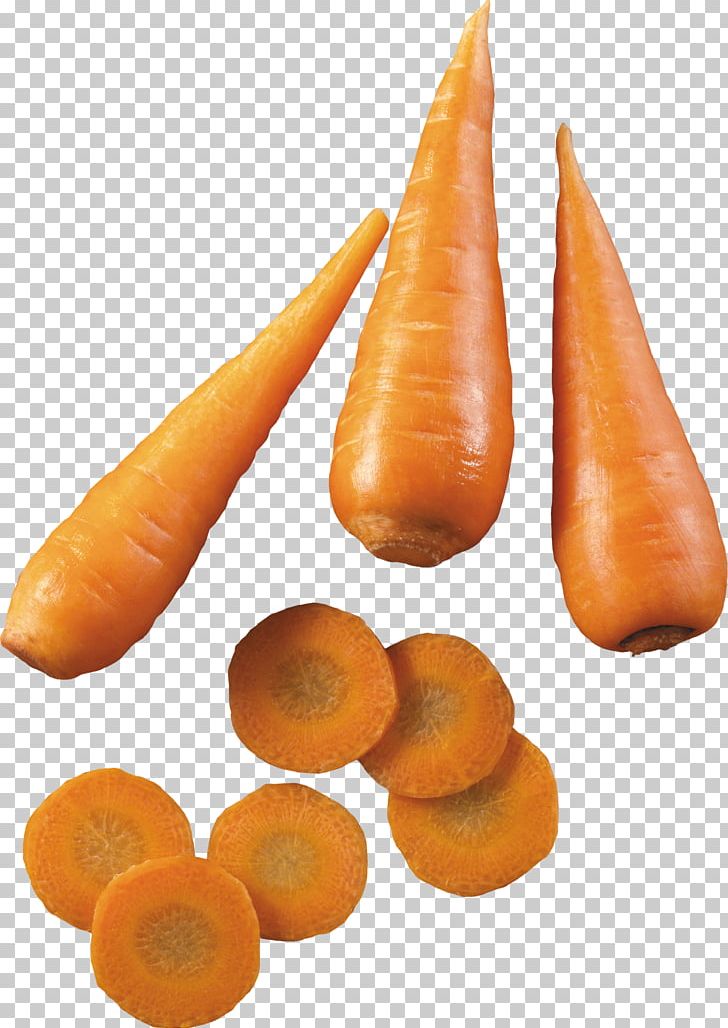 Carrot PNG, Clipart, Carrot Free PNG Download