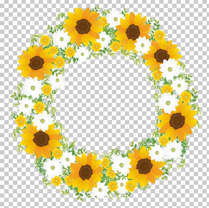 Common Sunflower Color Scheme PNG, Clipart, Circle, Color, Color Scheme, Common Sunflower, Cut Flowers Free PNG Download