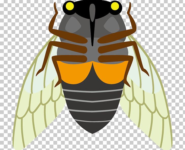 Honey Bee PNG, Clipart, Beak, Bee, Cicada, Eyewear, Honey Free PNG Download