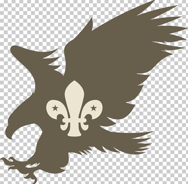 Scalable Graphics Silhouette PNG, Clipart, Animals, Autocad Dxf, Beak, Bird, Bird Of Prey Free PNG Download