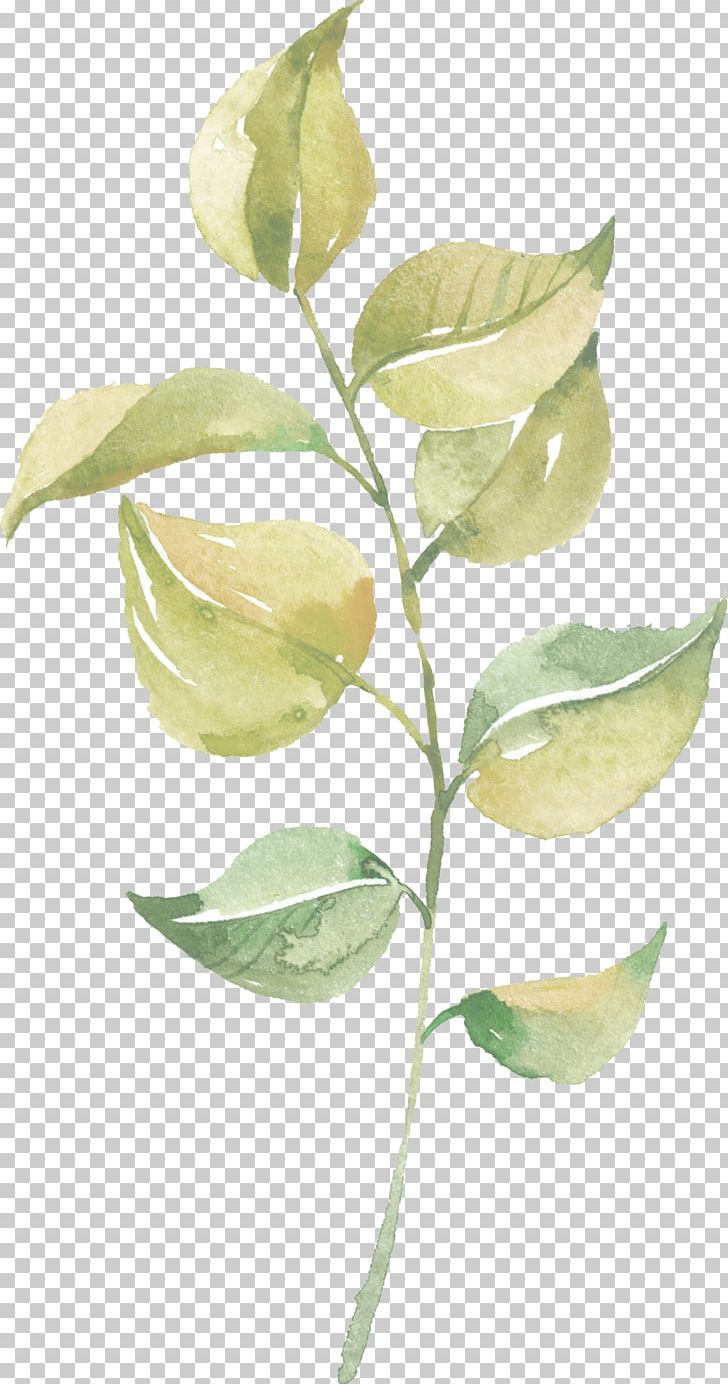 Leaf Watercolor Painting PNG, Clipart, Banana Leaves, Branch, Cartoon, Encapsulated Postscript, Falling Free PNG Download