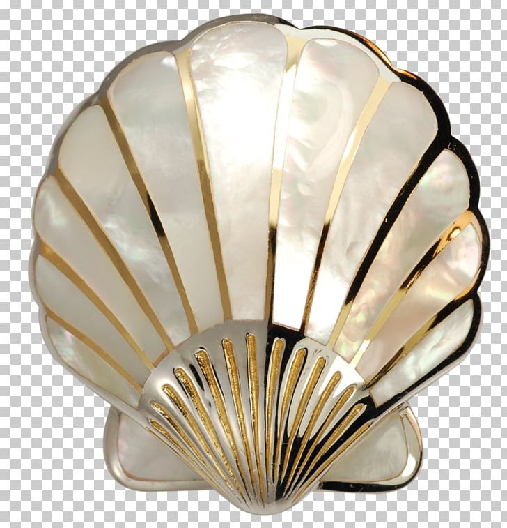 Seashell Pearl Nacre Scallop PNG, Clipart, Animals, Bangle, Bracelet, Charms Pendants, Clams Oysters Mussels And Scallops Free PNG Download