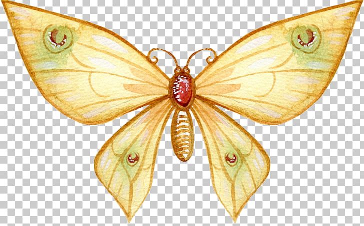 Butterfly Watercolor Painting Art Drawing PNG, Clipart, 4k Resolution, Art, Brush Footed Butterfly, Butterflies, Butterfly Group Free PNG Download