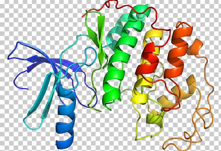 Cyclin-dependent Kinase 2 Protein Kinase PNG, Clipart, Artwork, Cdkactivating Kinase, Cell Cycle, Cyclin, Cyclin B Free PNG Download