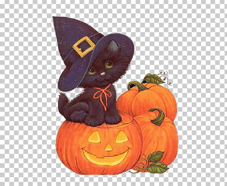 Halloween Film Series Party 31 October PNG, Clipart, Blog, Calabaza, Cat, Cat And Kitten, Cucurbita Free PNG Download