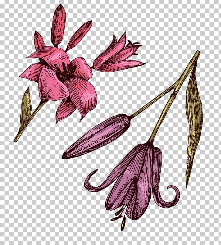 Petal Lilium Purple Red PNG, Clipart, Bright Light Effect, Brightness, Bright Vector, Cut Flowers, Download Free PNG Download