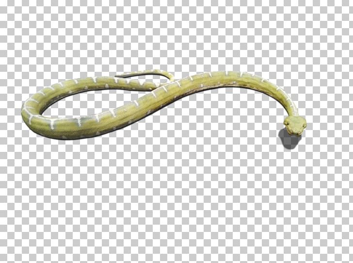 Snake Reptile Computer Icons PNG, Clipart, Animals, Clipart, Computer Icons, Desktop Wallpaper, Deviantart Free PNG Download