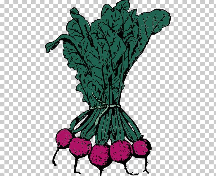 Sugar Beet Beetroot PNG, Clipart, Art, Beetroot, Common Beet, Fictional Character, Flower Free PNG Download