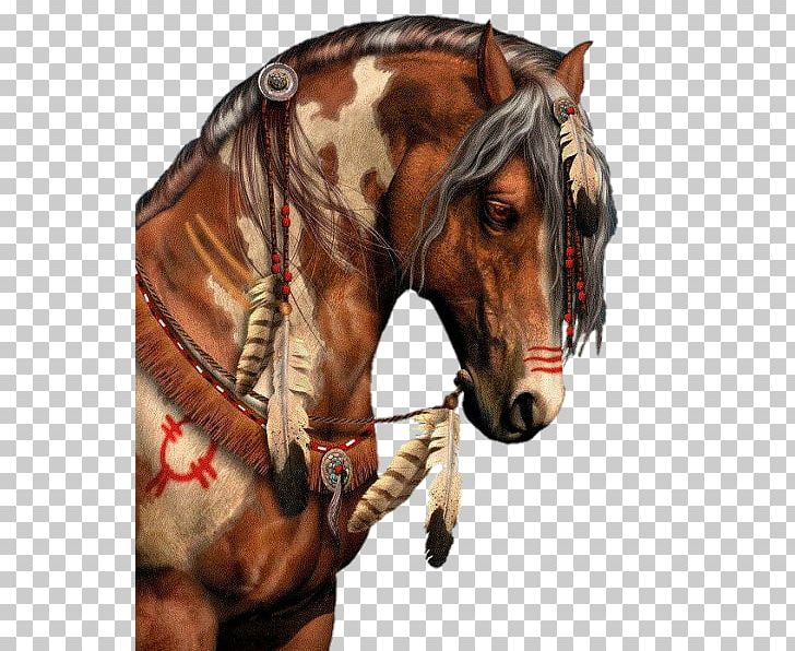 American Paint Horse American Indian Horse American Indian Wars Mustang Pony PNG, Clipart, Bridle, Canvas, Halter, Horse, Horse Harness Free PNG Download