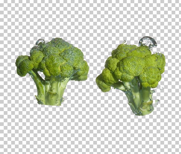 Broccoli Cauliflower Cabbage Food Vegetable PNG, Clipart, Bean, Blanching, Blueberry, Brassica Oleracea, Cooking Free PNG Download