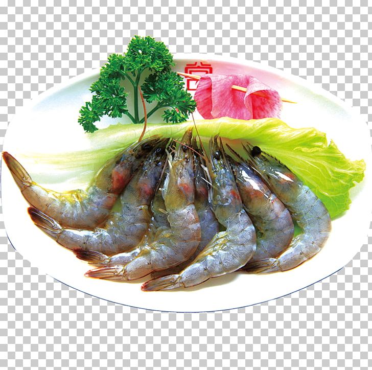 Caridea Hot Pot Shishamo Corn Soup Shrimp PNG, Clipart, Animals, Animal Source Foods, Asian Food, Caridean Shrimp, Cartoon Shrimp Free PNG Download